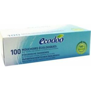 Ecodoo Tissue Box 100 stuks