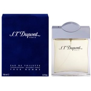 Dupont Homme - 100ml - Eau de toilette