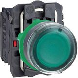 Verlichte Drukknop - Groen - Serie Harmony XB5 - IP66, IP67, IP69, IP69K
