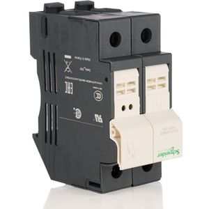 Schneider Electric DF102 Zekeringsschijf, 2-polig, afmetingen van de zekering 10 x 38 mm, 88,5 mm, hoogte 35 mm, breedte 64 mm, diepte 32 A, 400 – 690 V