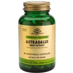 Solgar Astragalus Root extract Capsules 60 stuks