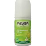 WELEDA - 24H Roll-On Deodorant - Citrus - 50ml - 100% natuurlijk