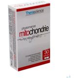 Voedingssupplement - Ginkgo Biloba - Coenzyme Q10 - N-acetyl-L-carnitine - Selenium - Zink - Vitamines B1 B2 B3 C E