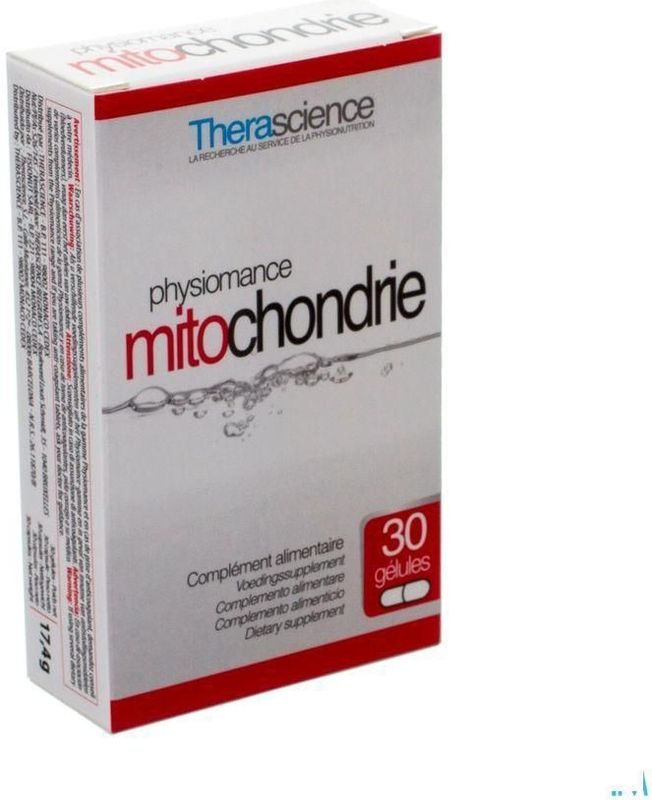 Voedingssupplement - Ginkgo Biloba - Coenzyme Q10 - N-acetyl-L-carnitine - Selenium - Zink - Vitamines B1 B2 B3 C E