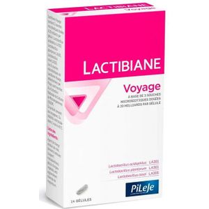 PiLeJe - Lactibiane Reizen - Probiotica - 20 Miljard Per Capsule