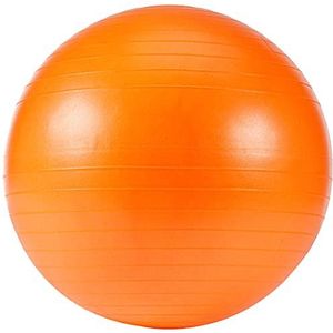 Gymball oranje Ø 55 cm bte