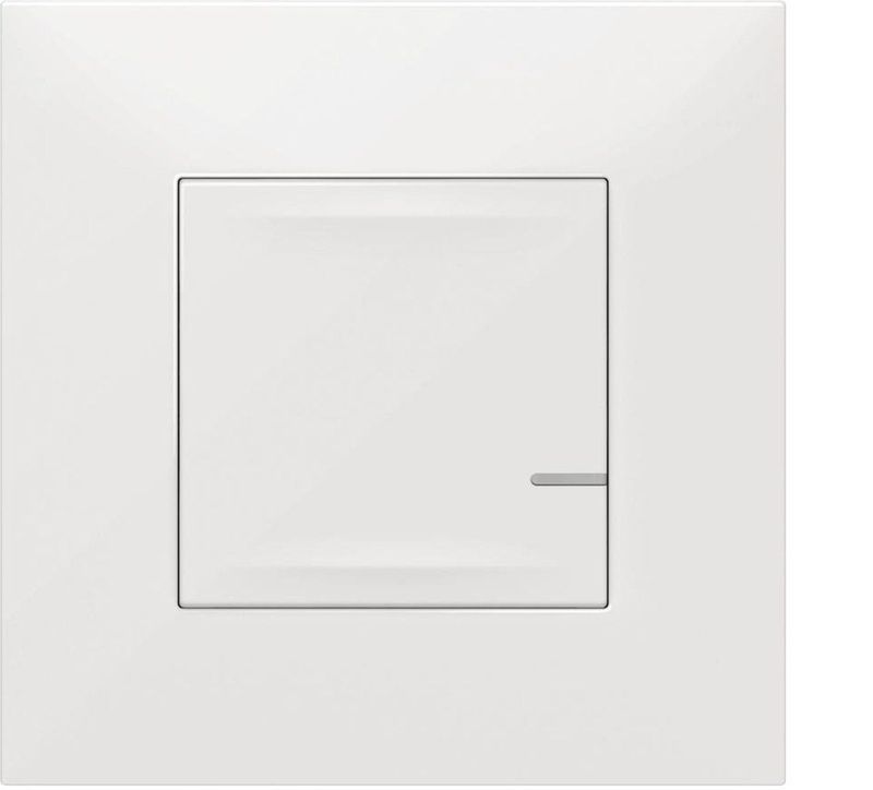 Legrand - Valena Life/Allure - Draadloze Micromodule - Compatibel met Alle Lamptypes tot 300 W