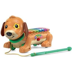 VTech - Elton, Mijn Rouli xylofoon, interactieve hond om te wandelen, lichtgevende 2-in-1 xylofoon, babymuziekinstrument, trekspeelgoed, cadeau voor kinderen vanaf 18 maanden - inhoud in het Frans