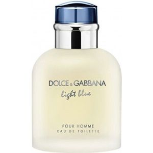 Dolce & Gabbana Light Blue Pour Homme Eau de Toilette Spray 75 ml