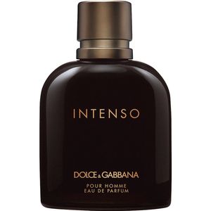 Dolce & Gabbana Pour Homme Intenso Herenparfum 125 ml