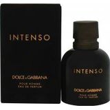 Dolce & Gabbana Pour Homme Intenso Herenparfum 40 ml