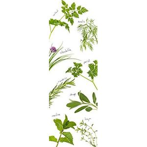 DECORATION adhésive pour CUISINE et réfrigérateurs Aromatische planten, zelfklevend, polyvinyl, groen, 59,5 x 0,1 x 180 cm