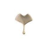 Sisley Ginkgo Gua Sha