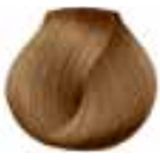 L'Oréal Professionnel - Dia Light - Haarverf - 50 ML - 7.31