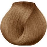 Loreal - Professioneel Majirel 8,13 - Haarkleuring - 50 ml