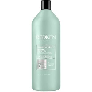 Redken Amino Mint Scalp Shampoo 1