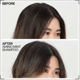 Redken Amino Mint Shampoo - Reinigt vette hoofdhuid en verlicht hoofdhuid irritatie - 300 ml