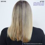 Redken - Blondage High Bright - Conditioner voor blond haar - 300 ml.
