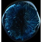 Scalp Advanced - Intensive Soothing Cream - Voor Gevoelige Hoofdhuid - 200ml