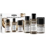 L'Oréal Professionnel Pakket L'Oréal Série Expert Absolut Repair Molecular Mini Trio Kit