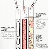 Kérastase - Gloss Absolu - Cosmetische Set - Voor Glanzend en Zacht Haar - Inhoud 80 ml Shampoo, 75 ml Conditioner, 45 ml Leave-in Spray