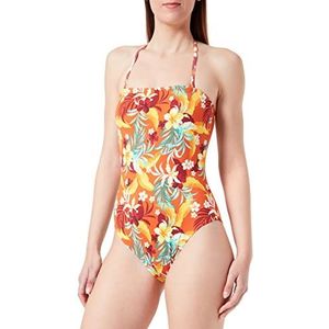 Haute pression T1029 CO1 T42, Meerkleurig