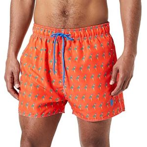 Haute pression B276 CO1 TXXL, Meerkleurig, XXL