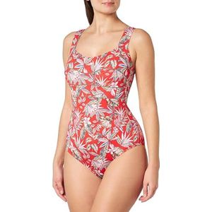 HAUTE PRESSION X8047 C01 T38, Meerkleurig, 38-52