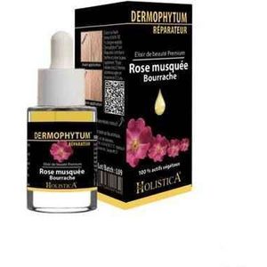 Dermophytum Herstellend Fl 15ml Holistica