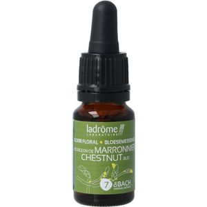 Ladrome - Chestnut Bud Bio - Fytotherapie - 10 Milliliter