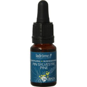 Ladrome - Pine / Den - Bio Kruidenpreparaat - Alcohol 40%