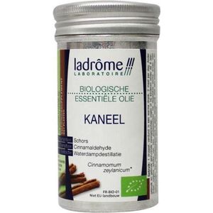 Etherische Olie - Ceylon Kaneel - 100% Zuiver - Biologisch