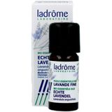 Ladrôme - Lavendel Olie - Kruidenpreparaat - Biologisch - Dopper van 10ml