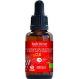 Ladrome - First Aid - Eerste Hulp Druppels - Bio - 40% Cognac