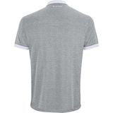 Tennispolo Tecnifibre Men Team Mesh Silver