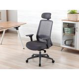 Ergonomische bureaustoel - Met hoofdsteun - Nylon en stof - Grijs - BANKANO