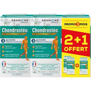 Granions Chondrostéo+ Articulations Verpakking van 3 x 90 Tabletten Inclusief 90 Gratis Tabletten