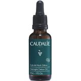 Gezichtolie - Detox Nachtolie - 50ml - 5 Kostbare Oliën