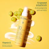 Spray Sun Protector Caudalie Vinosun Invisible Spf 30 150 ml