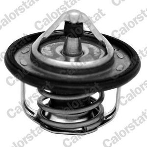 Thermostaat, koelvloeistof CALORSTAT BY VERNET TH7300.95J