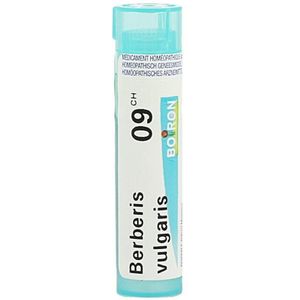 Boiron Berberis Vulgaris 9CH Granulen 4g