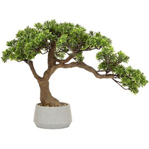 Kunstplant - Bonsai Boom - Groen - PVC - Inclusief Keramische Pot