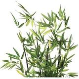 Kunstbamboe - Groen - Kunststof - In Pot 15 x 15 x 9 cm