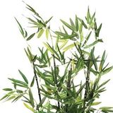 Kunstbamboe - Groen - Kunststof - In Pot 15 x 15 x 9 cm