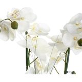 Atmosphera Orchidee bloemen kunstplant in witte bloempot - witte bloemen - H53 cm