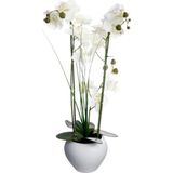 Atmosphera Orchidee bloemen kunstplant in witte bloempot - witte bloemen - H53 cm