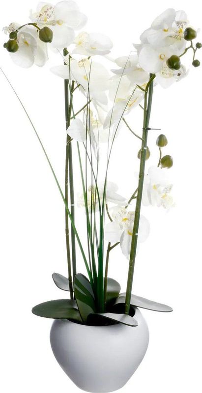 Atmosphera Orchidee bloemen kunstplant in witte bloempot - witte bloemen - H53 cm