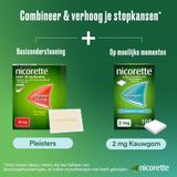 Nicorette Kauwgom 2mg menthol mint  30 stuks