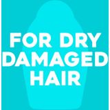 OGX - Argan Oil of Morocco - Haarolie - 118 ml - Arganolie