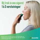 Nicorette® Fruit & Mint bij stoppen met roken Spray 2x150 dosissen